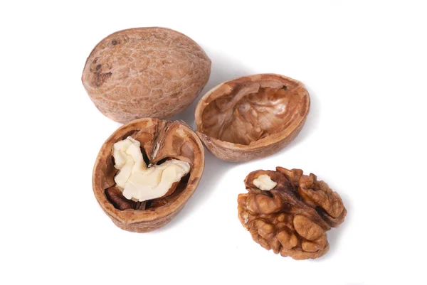 Closeup vlašské ořechy — Stock fotografie
