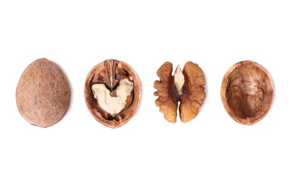 Řádek vlašských ořechů — Stock fotografie