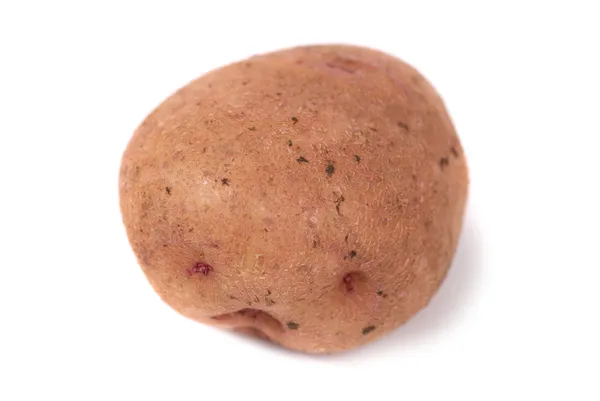 stock image One ripe potato