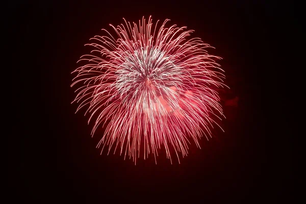 Bellissimi fuochi d'artificio — Foto Stock