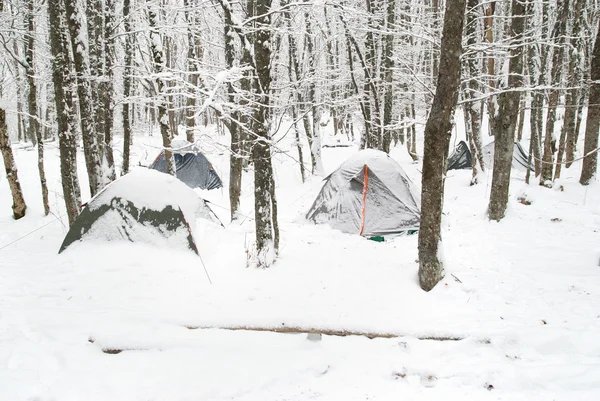 Winter tent camp — Stock Photo, Image