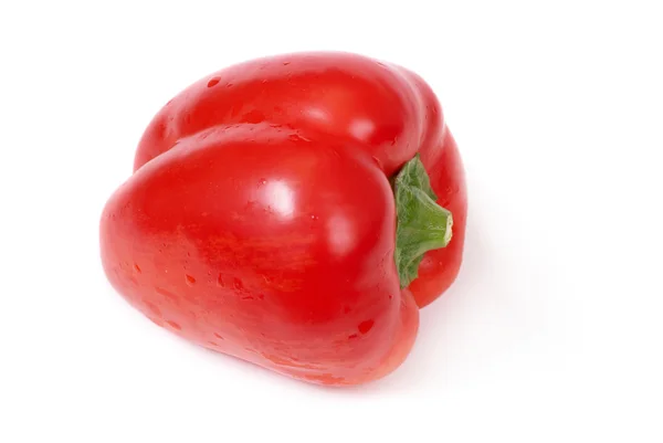 Paprika rossa — Foto Stock