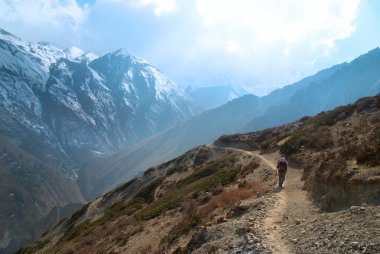 Tibet karlı dağlar