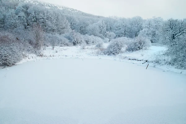 Vintersjö — Stockfoto