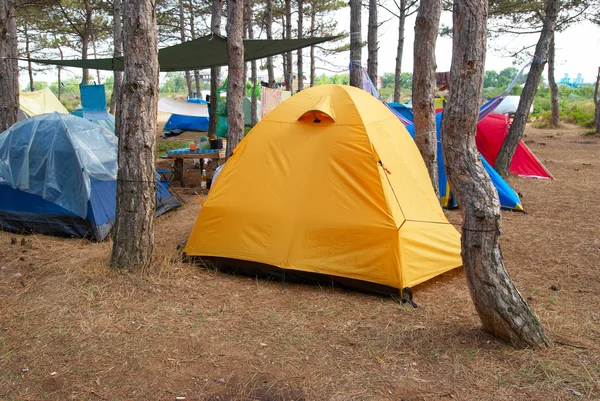 stock image Campsite in the forest