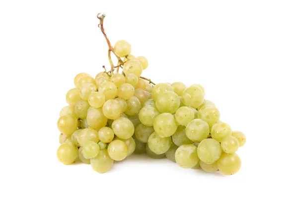 Bunch of grapes — Stock Photo, Image