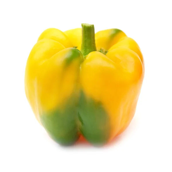 黄色青椒 — 图库照片
