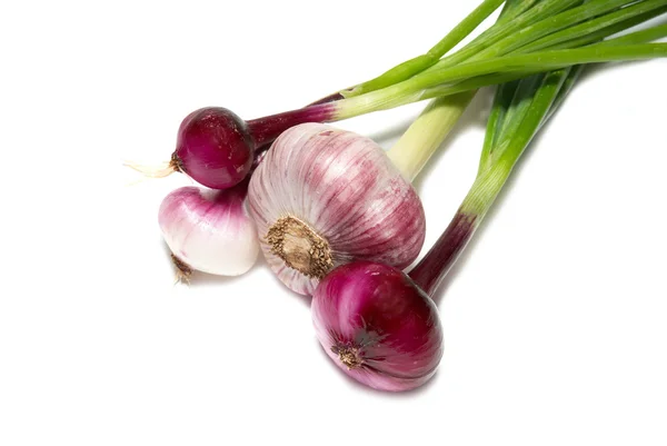 Bunch of young onions — Stock Photo, Image