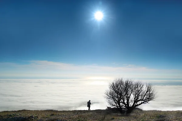 Arbre solitaire avec nuages — Photo