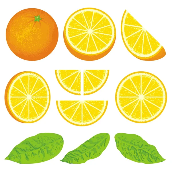 Narancs Stock Vektor