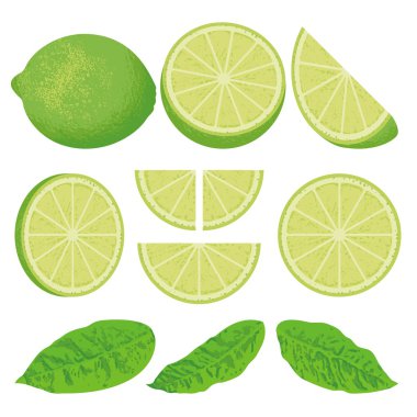Lime icons clipart