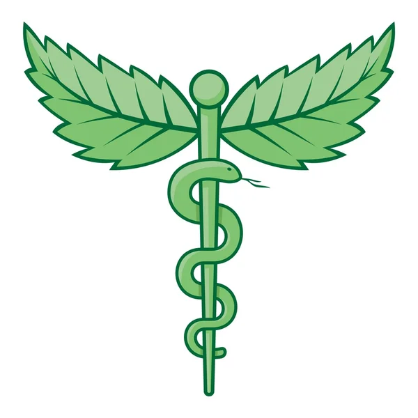 Caduceus with leaves — Stock Vector