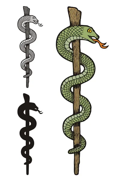 One snake caduceus — Stock Vector