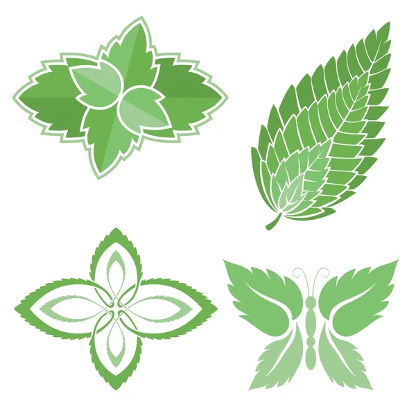 Листья мяты — стоковый вектор