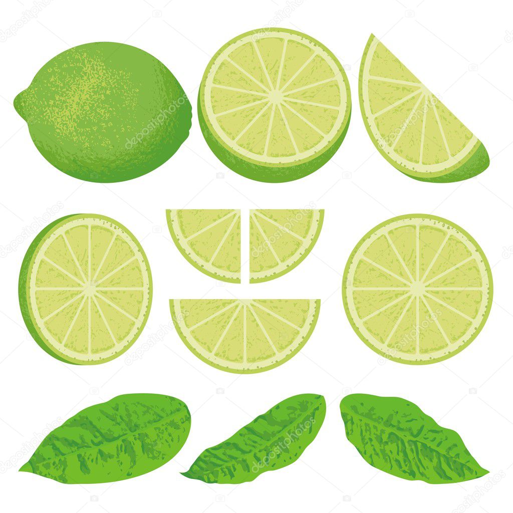 Lime icons — Stock Vector © fractal #6737556