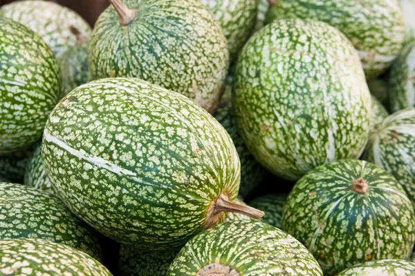 stock image Asian pumpkin