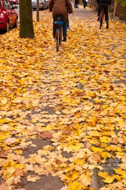 Bicyclist in autumn