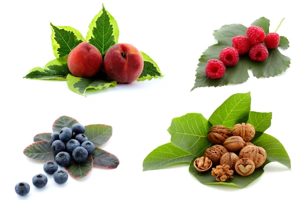 stock image Harvest time