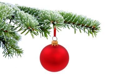 Noel herdem yeşil çam ağacı ve kırmızı cam top