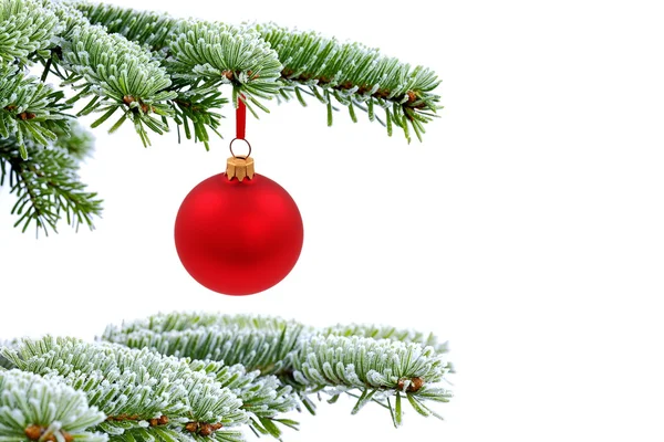 常緑のトウヒ木をクリスマスと赤のガラス玉 — ストック写真