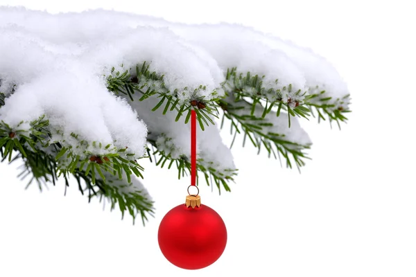 Vintergröna Gran julgran och rött glas boll — Stockfoto