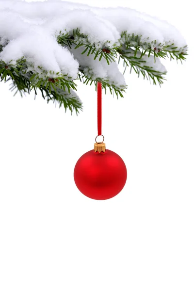 Різдвяна вічнозелена ялина та червона скляна куля — стокове фото