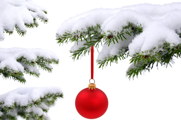 Örökzöld lucfenyő karácsonyfa és a labda piros üveg — Stock Fotó