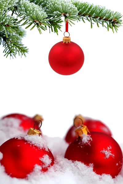 Árvore de abeto perene de Natal e bola de vidro vermelho — Fotografia de Stock