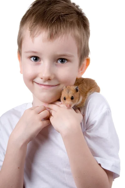 Bir hamster ile çocuk — Stok fotoğraf