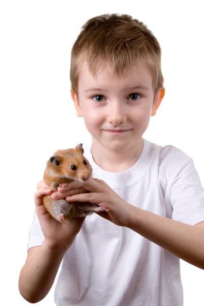 Rapaz com um hamster — Fotografia de Stock
