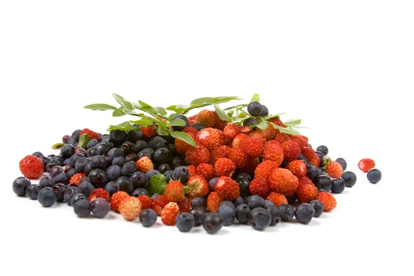 stock image Wild strawberries and blueberries