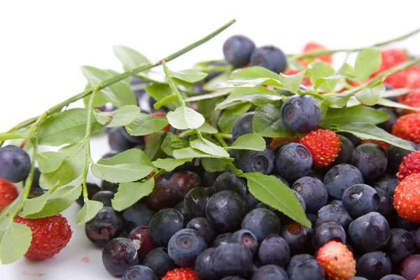 stock image Wild strawberries and blueberries