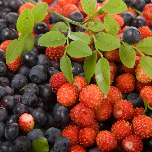 stock image Wild strawberries and blueberries