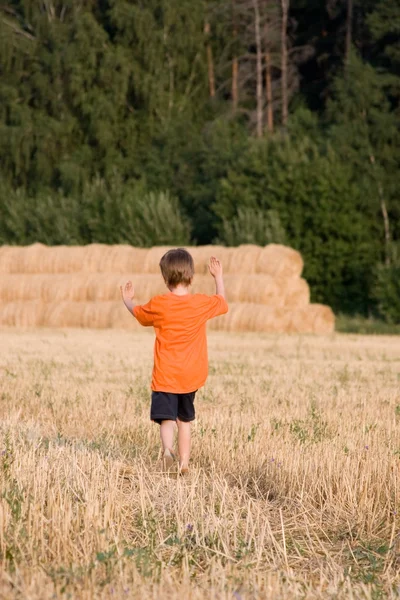 Fiú megy a vidám mező — Stock Fotó