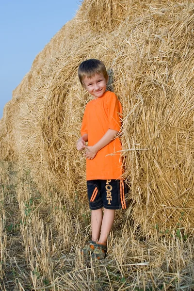 Boy stands on a large haystack — Stock Photo, Image