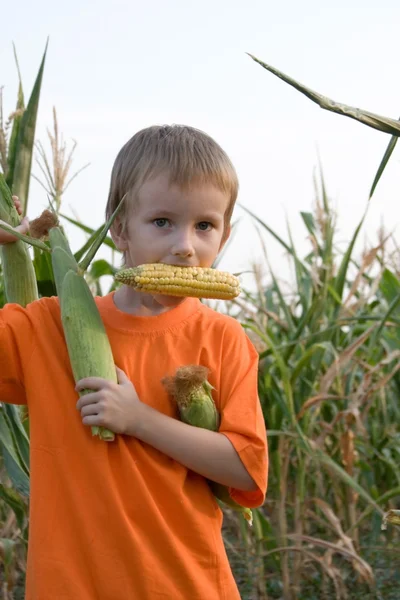 stock image Boy with the corn in his teeth