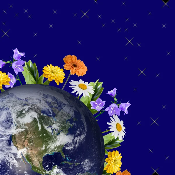 Bloemen groeien van de aarde — Stockfoto