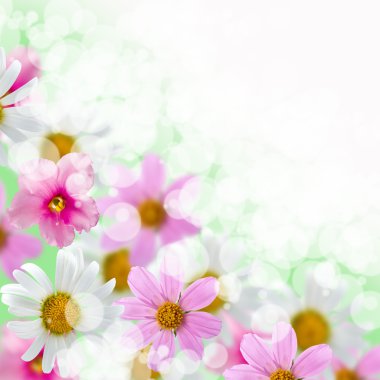 Beautiful flowes clipart
