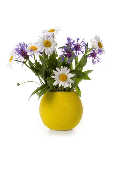 Cornflowers and daisies — Stock Photo, Image