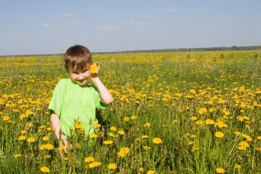 Çocuk dandelions alana yürür