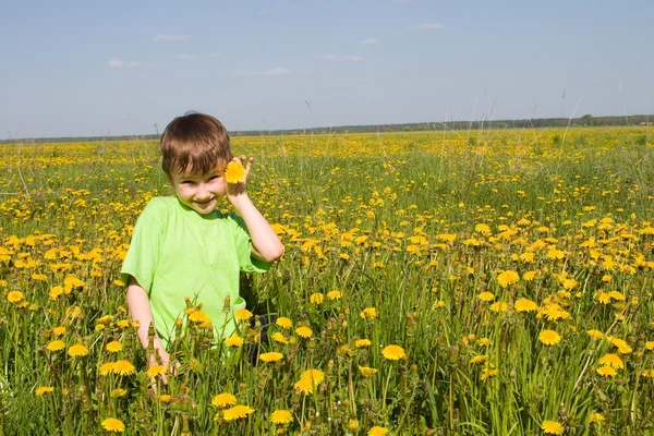 Boy walks on the dandelions field — Stock Photo, Image