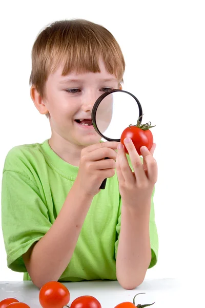 Chico examina un tomate con una lupa —  Fotos de Stock