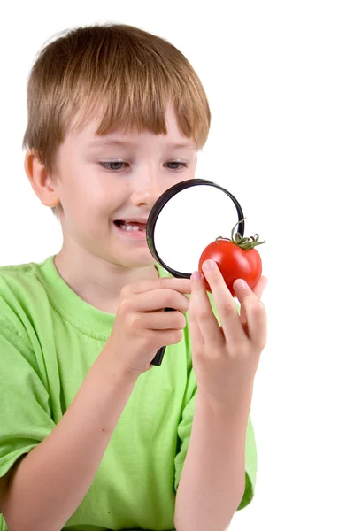 Chlapec zkoumá rajče s lupou — Stock fotografie