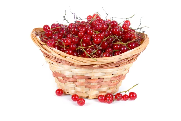 Stock image Fresh berries in a wicker basket