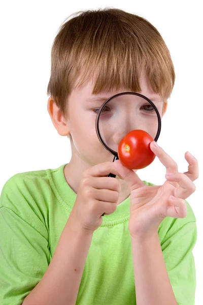 Boy esamina un pomodoro con una lente d'ingrandimento — Foto Stock