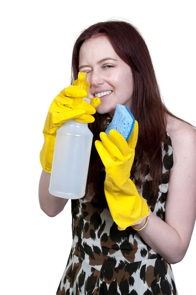 stock image Woman Cleaning House