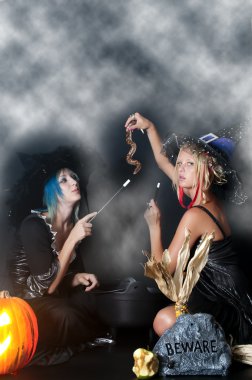 Witches with Snake clipart