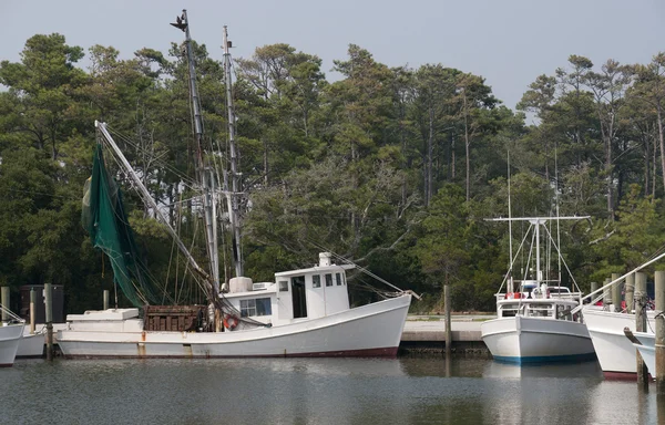 Shrimp Boat — Stock Photo, Image