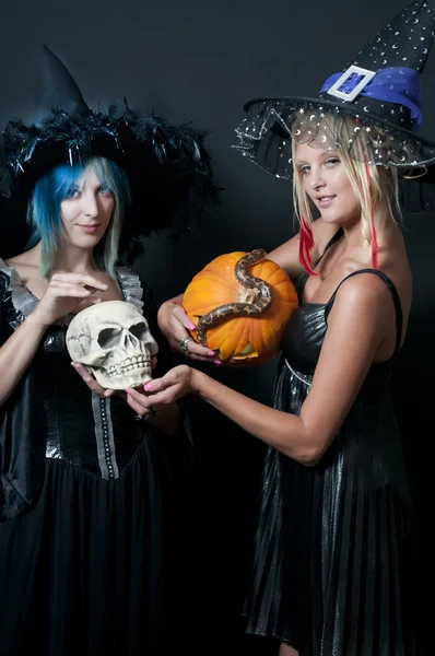 Witches with Snake and Skull — Stock Photo, Image