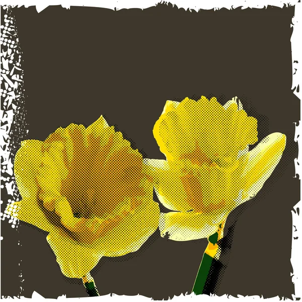 Картка з квітами Нарциса — стоковий вектор